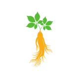 ginseng tier