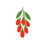 goji tier (1)