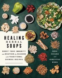 Chinese herbal healing soup
